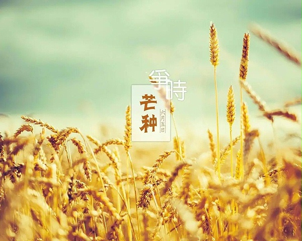 微信图片_20210605085621