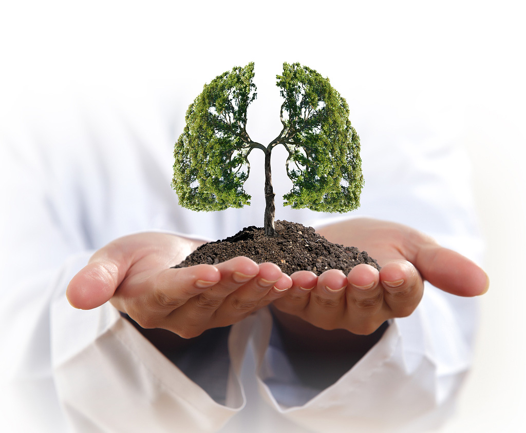 老中医推荐:秋季养肺指南!